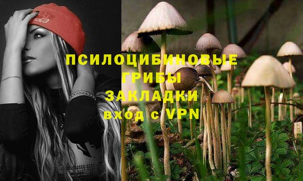 сатива Армянск