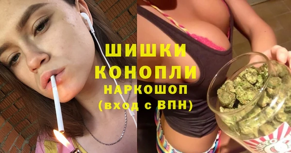сатива Армянск