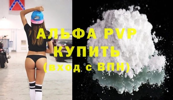 сатива Армянск