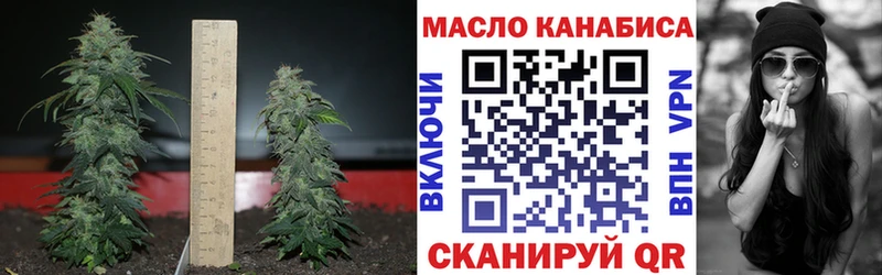 Дистиллят ТГК THC oil Усть-Катав